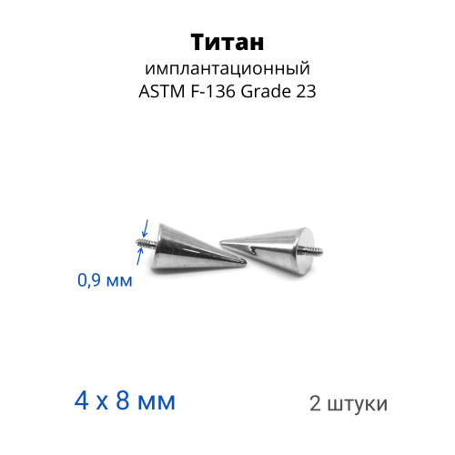 Интернал-конусы 4 х 8 мм (2 штуки) для украшений со стержнем 1,2 мм (резьба 0,9 мм). Титан. TBSI0948-2