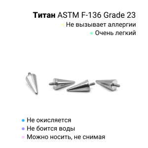 Интернал-конусы 3 х 6 мм (2 штуки) для украшений со стержнем 1,2 мм (резьба 0,9 мм). Титан. TBSI0936-2