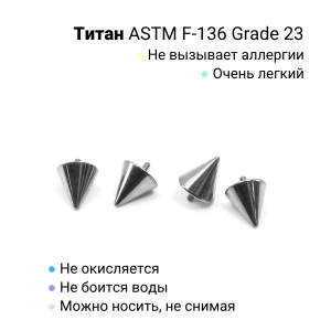 Интернал-конусы 5 мм (2 штуки) для украшений со стержнем 1,2 мм (резьба 0,9 мм). Титан. TBSI095-2