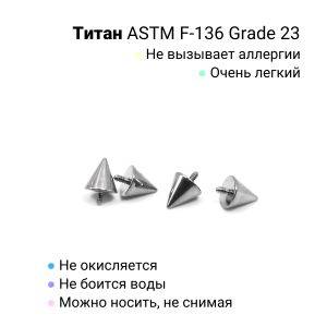 Интернал-конусы 4 мм (2 штуки) для украшений со стержнем 1,2 мм (резьба 0,9 мм). Титан. TBSI094-2