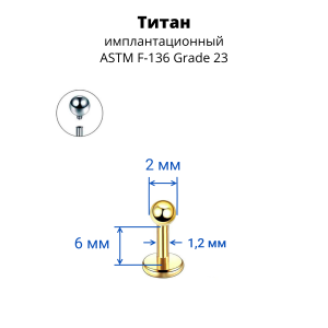Интернал-лабрета 1,2 мм. Титан, золотое анодирование. ILBBT16G