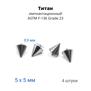 Интернал-конусы 5 мм (4 штуки) для украшений со стержнем 1,2 мм (резьба 0,9 мм). Титан. TBSI095-4