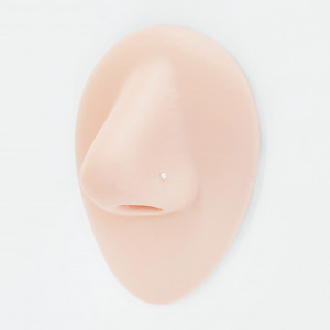 Нострила гвоздик 0,5 мм. Циркон 1,5 мм. NBZBXM