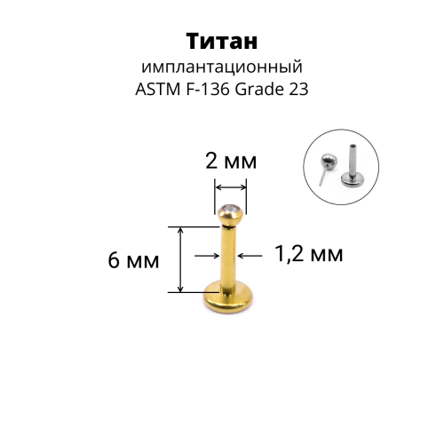 Лабрета 1,2 мм Push-in (без резьбы). Титан, золотое анодирование. ILTPJ16G