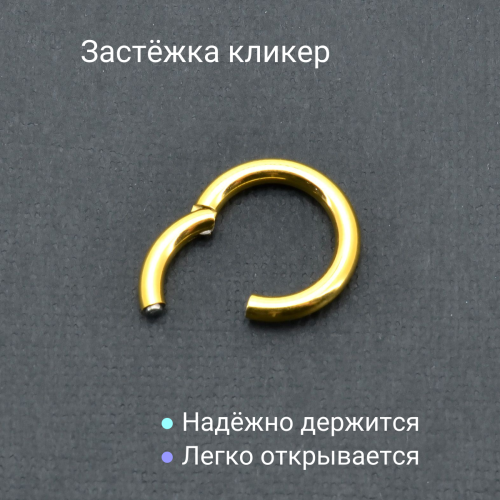 Кольцо сегментное 2,5 мм кликер. Титан. HSEGT10G