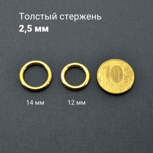 Кольцо сегментное 2,5 мм кликер. Титан. HSEGT10G