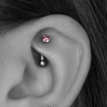 Rook