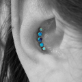 Conch